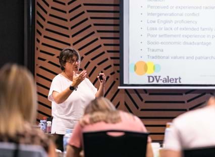 DV Alert Focused Workshops